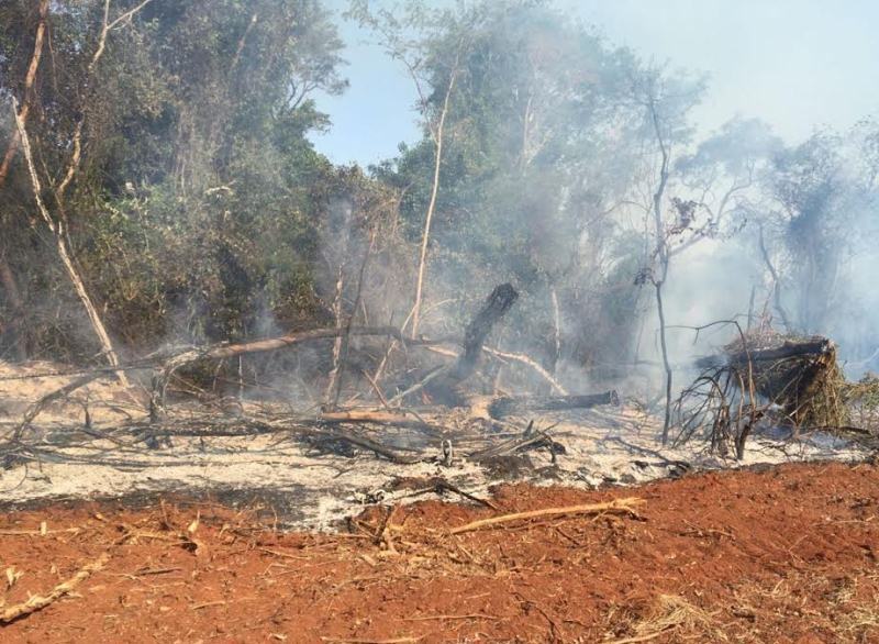 (Foto: Divulgação / PMA)
