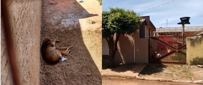 (Fotos: Divulgação)