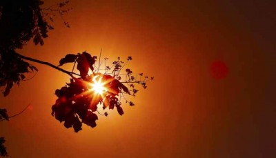 Calorão: sexta-feira terá temperatura de 37°C em MS, indica Inmet