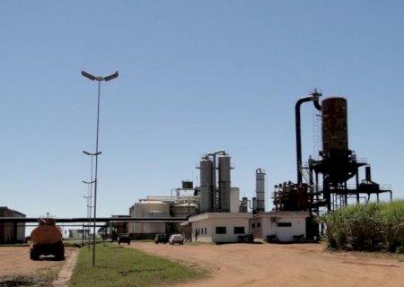Usina de Vicentina faz acerto com a lei e contrata menores aprendizes