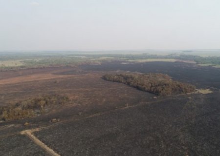 Usina em Nova Alvorada é multada em quase meio milhão por incêndio em área protegida