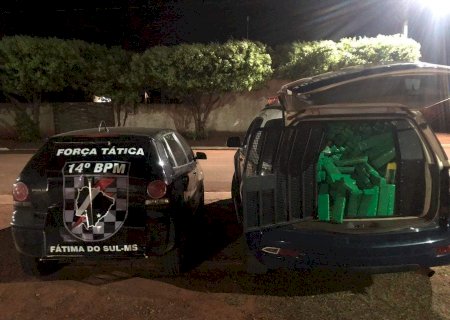 Força Tática apreende mais de 300 quilos de maconha em Deodápolis