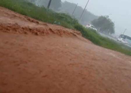 Temporal com ventos fortes alaga ruas e derruba árvores na fronteira de MS