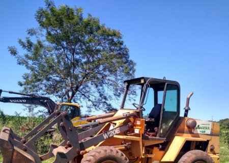 Vicentina: Produtor é multado em R$ 77 mil por desmatar 11 hectares de bioma da Mata Atlântica
