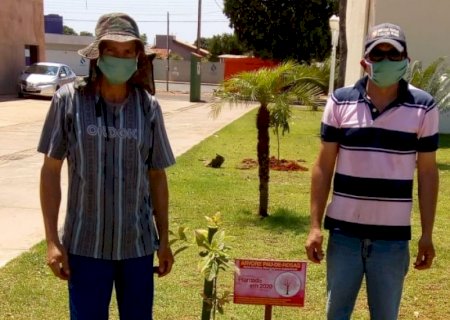 Jateí planta árvores para semear a vida e embelezar a cidade