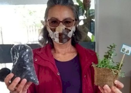 Jateí usa plantas suculentas para ocupar idosos na pandemia \'Isolados sim, Sozinhos não\'