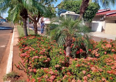 TRABALHO CONTINUA: Prefeitura cuida da cidade em Jateí