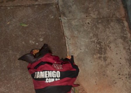 Polícia Militar de Vicentina prende ladrão de porco de sítio de vereador em Vicentina