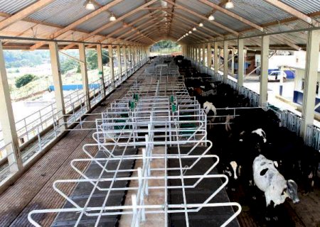 Momento econômico não favorece produtor de leite e custos serão elevados em 2022