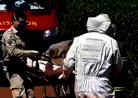 Bombeiros salvam caminhoneiro de ataque de abelha entre Dourados e Caarapó