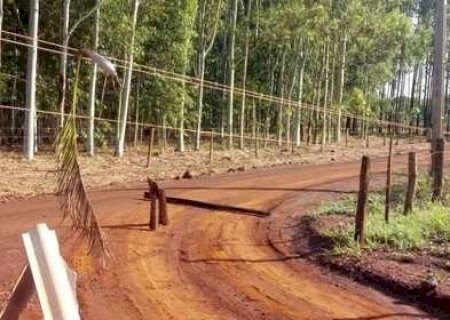 Motorista perde controle, carro capota e jovem morre no Assentamento Estrela, em Sidrolândia