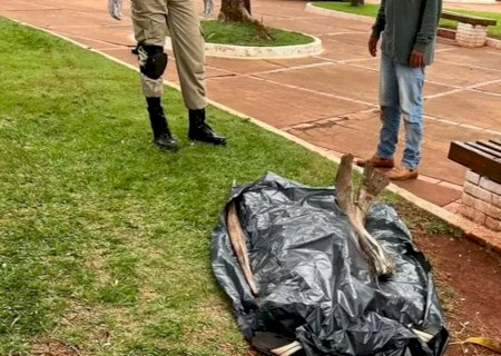 Homem é encontrado morto em praça em Sidrolândia