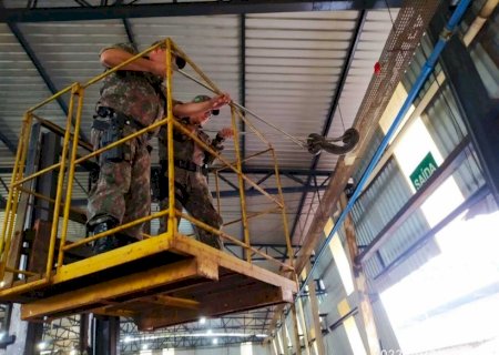 Jiboia de mais de dois metros é capturada em empresa em MS