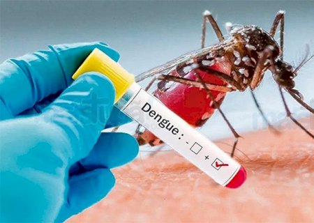 Vicentina, Juti, Deodápolis, Ivinhema, Caarapó e vários municípios da região estão em alerta crítico de dengue