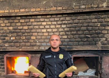 Polícia civil de Vicentina incinera 413 quilos de drogas apreendidas