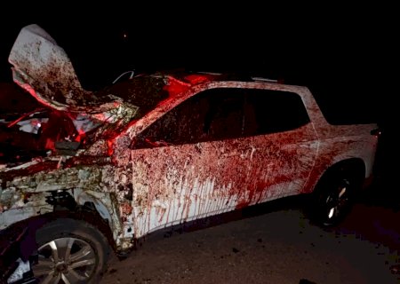 Casal sai ileso de acidente que matou cavalo entre Glória de Dourados e Deodápolis
