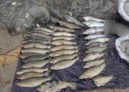 Dupla encontrada com 56 kg de peixes é presa por pesca ilegal em Batayporã