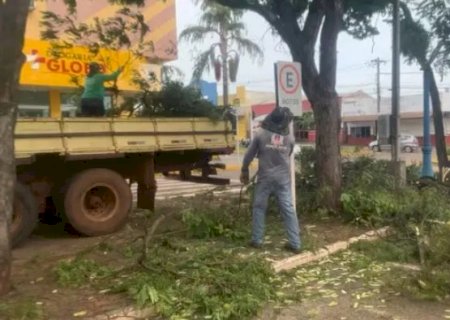 Após temporal que destelhou casas e derrubou árvores, semana começa com limpeza em Mundo Novo