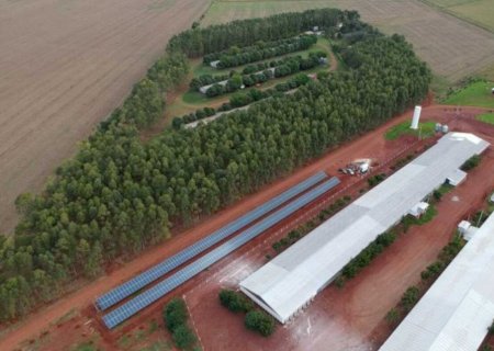 Mundo Novo entra no mapa da avicultura estadual com investimentos de R$ 66 milhões em recursos do FCO