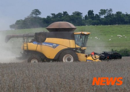 Brasil colheu 29,4% da área de soja. Veja evolução dos estados>