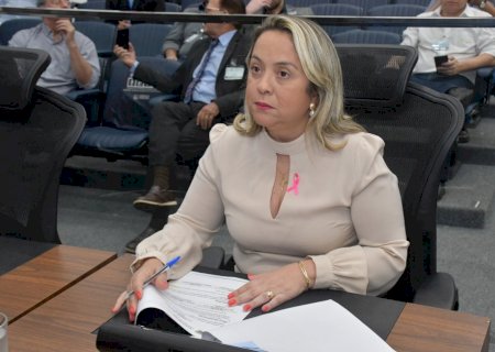 Entidades de Campo Grande devem ser beneficiadas com emendas parlamentares de Lia Nogueira>