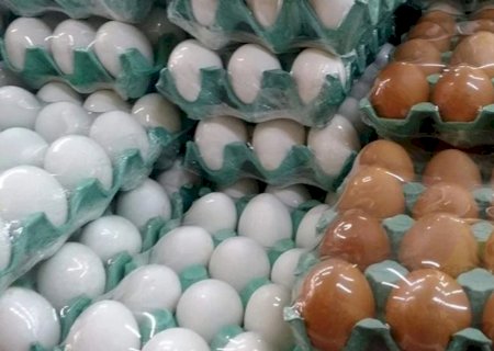 Exportação de ovos cai em março, mas acumulado do trimestre é positivo>