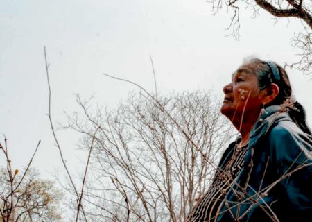 Na luta por sobrevivência, indígenas chegam ao alto escalão com lista de desafios para MS>