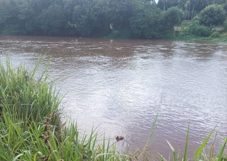 URGENTE: homem morre afogado no Rio Dourados em Fátima do Sul
