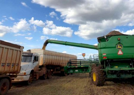 Colheita do milho, valor do dólar e venda de soja resultaram em aumento nos preços do frete de MS em junho