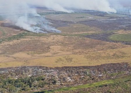 Emissão de gases por incêndios é recorde em Mato Grosso do Sul e Amazonas