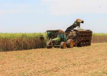 Seca afeta e cana no Centro-Sul rende 16,5% abaixo da média da safra passada>