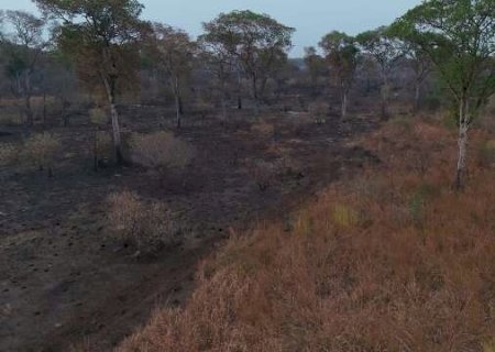 Inc&ecirc;ndios voltam a aumentar em semana com previs&atilde;o de calor em MS