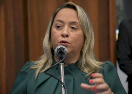 Lia Nogueira intervém e pede providências à Energisa para evitar apagões em Dourados>