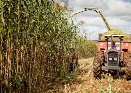 Caarapó está entre entre os 100 municípios mais ricos do agro; MS tem 14 ao todo