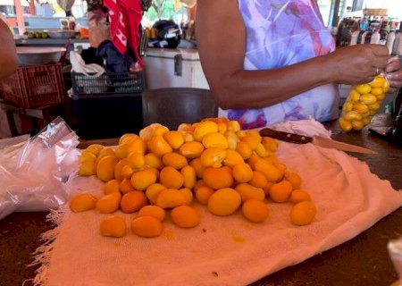 Seca castigou até o pequi e sabor regional dobrou de preço>