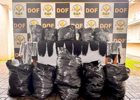 Polícia apreende 107 kg de cabelo humano avaliado em R$ 920 mil em MS