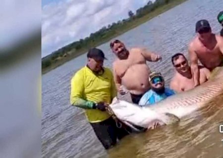 Grupo de pescadores captura dois pirarucus gigantes em município de São Paulo