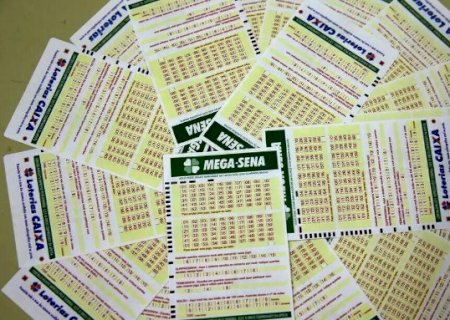 Em MS, 56 apostas levam prêmio com quadra da Mega-Sena