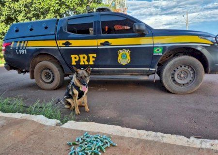 Boliviano é preso com cocaína presa ao corpo em MS>