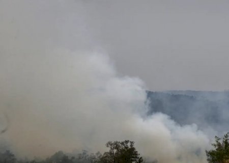 Dino cobra informações do governo de SP sobre combate às queimadas