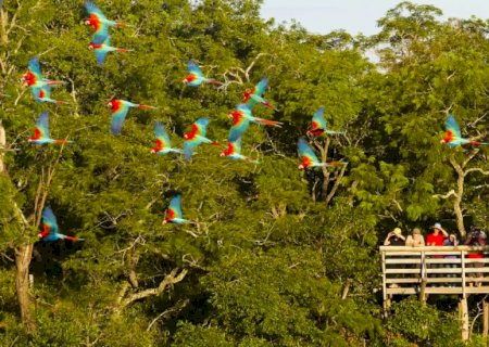 Com reaquecimento do turismo pós-pandemia, MS atraiu 250 mil viagens domésticas