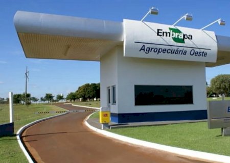 Soja: Embrapa de MS apresenta resultados de experimento desenvolvido ao longo de 30 anos