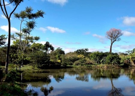 Campanha da Fraternidade volta a abordar ecologia em 2025