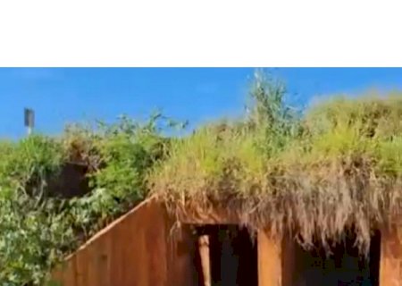 Jateí: Zé Teixeira pede ação emergencial do governo