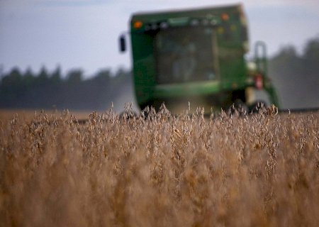 Soja enfrenta volatilidade com clima adverso; confira os dados de mercado