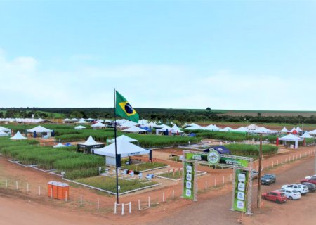 Embrapa apresenta tecnologias sustentáveis na Expocanas 2025