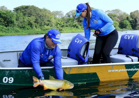 Sancionada Lei que proíbe a captura do Dourado nos rios de MS por mais 2 anos