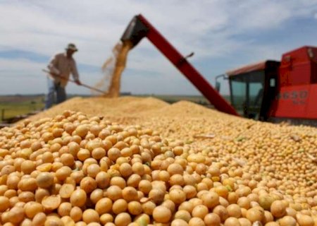 Entidades de MS veem com cautela compra recorde de soja brasileira pela China