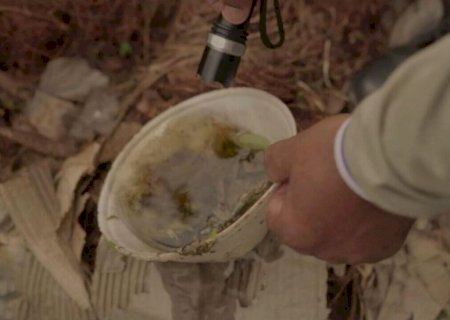 Mulher de 48 anos morre vítima de dengue em Itaquiraí