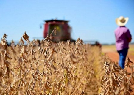 Produtividade da soja em MS supera expectativa inicial em 5%